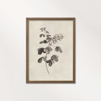 Neutral Botanical Pencil Drawing Wall Art Print Digital Download – Antique Moody Floral Illustration Printable Wall Art