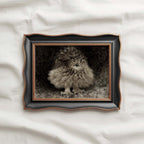 Vintage Owl Wall Art Printable – Dark Academia Bird Illustration Print