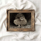 Vintage Owl Wall Art Printable – Dark Academia Bird Illustration Print