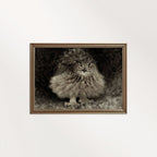 Vintage Owl Wall Art Printable – Dark Academia Bird Illustration Print