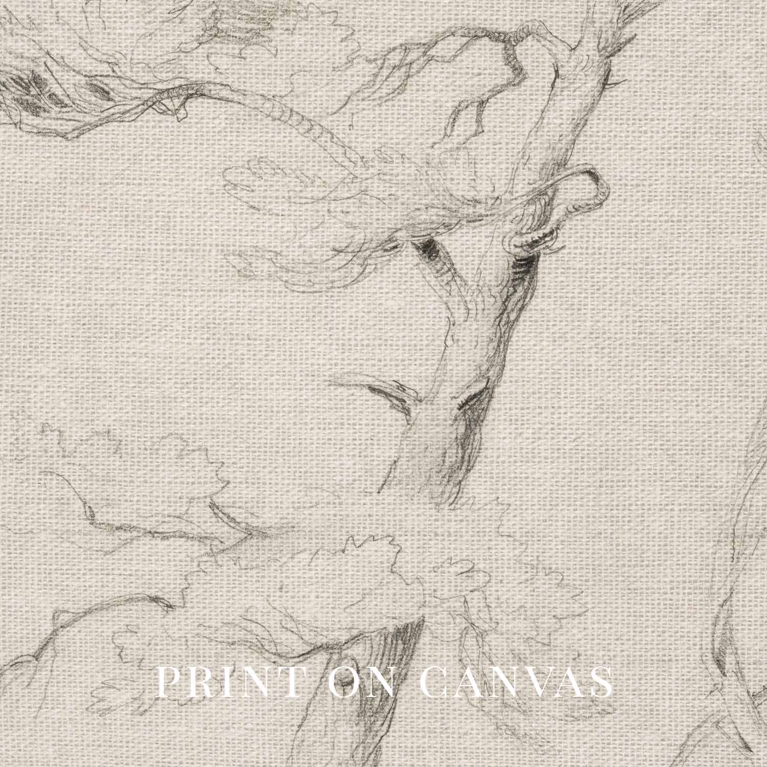 Windblown Pine Tree Wall Art Printable | Antique Minimal Pencil Sketch Print