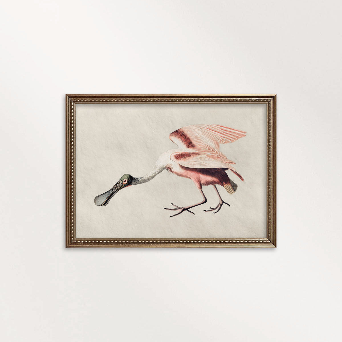 Roseate Spoonbill Bird Print Digital Download (Antique Natural History Illustration Wall Art)