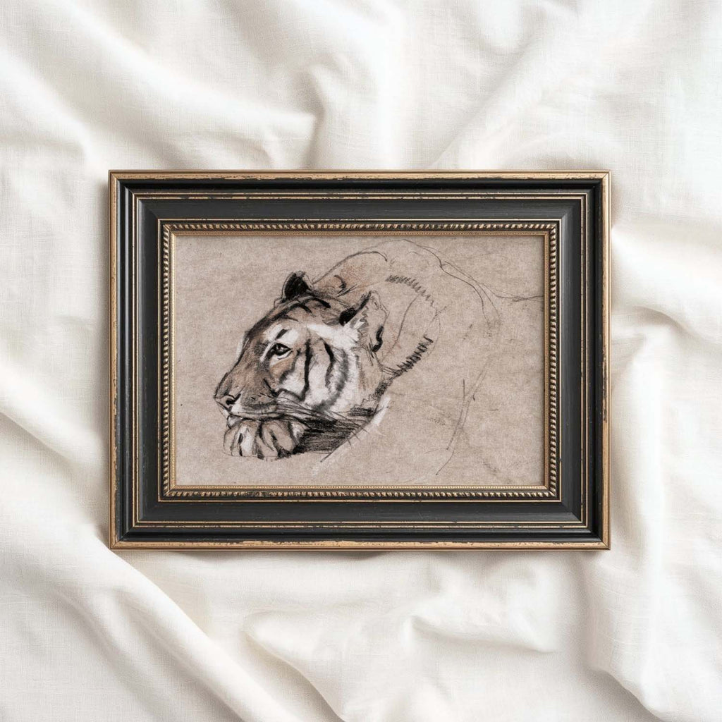 Tiger Portrait Wall Art Printable | Antique Pencil Sketch Wildlife Print