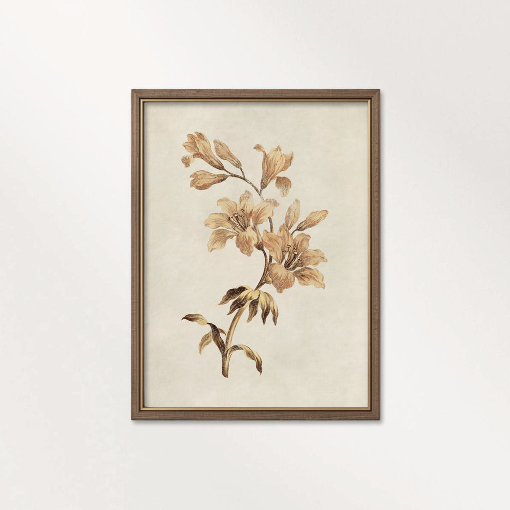 Muted Orange Tiger Lily Wall Art Print (Digital Download)