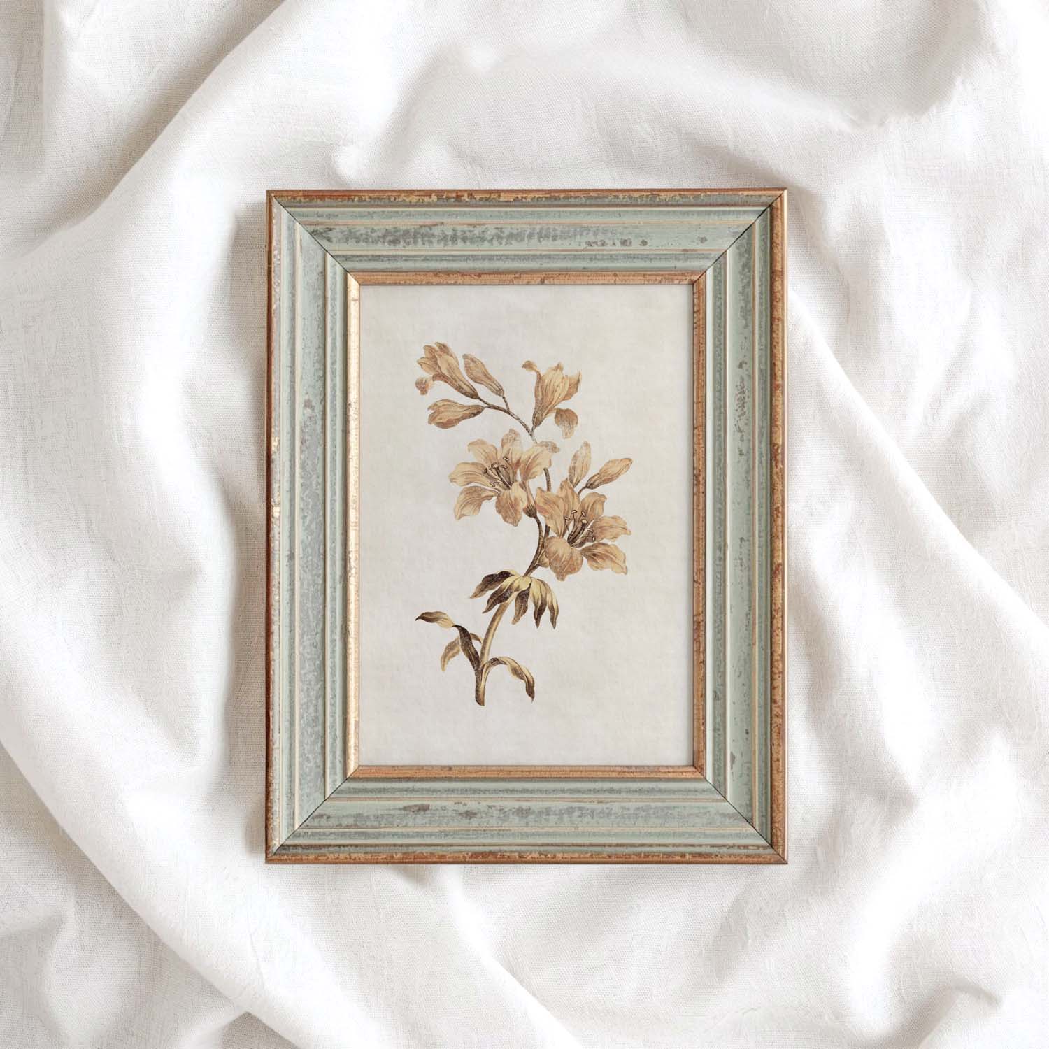 Muted Orange Tiger Lily Wall Art Print (Digital Download)