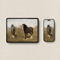 Wild Horse iPhone & iPad Wallpaper Set (Digital Download)