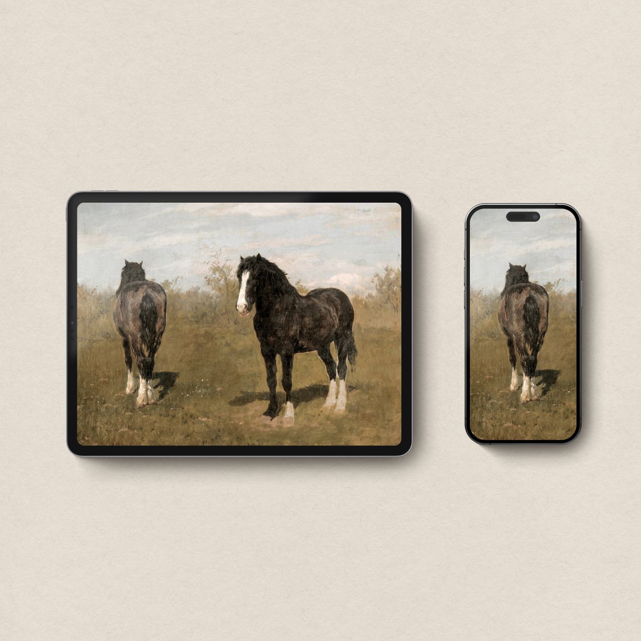 Wild Horse iPhone & iPad Wallpaper Set (Digital Download)