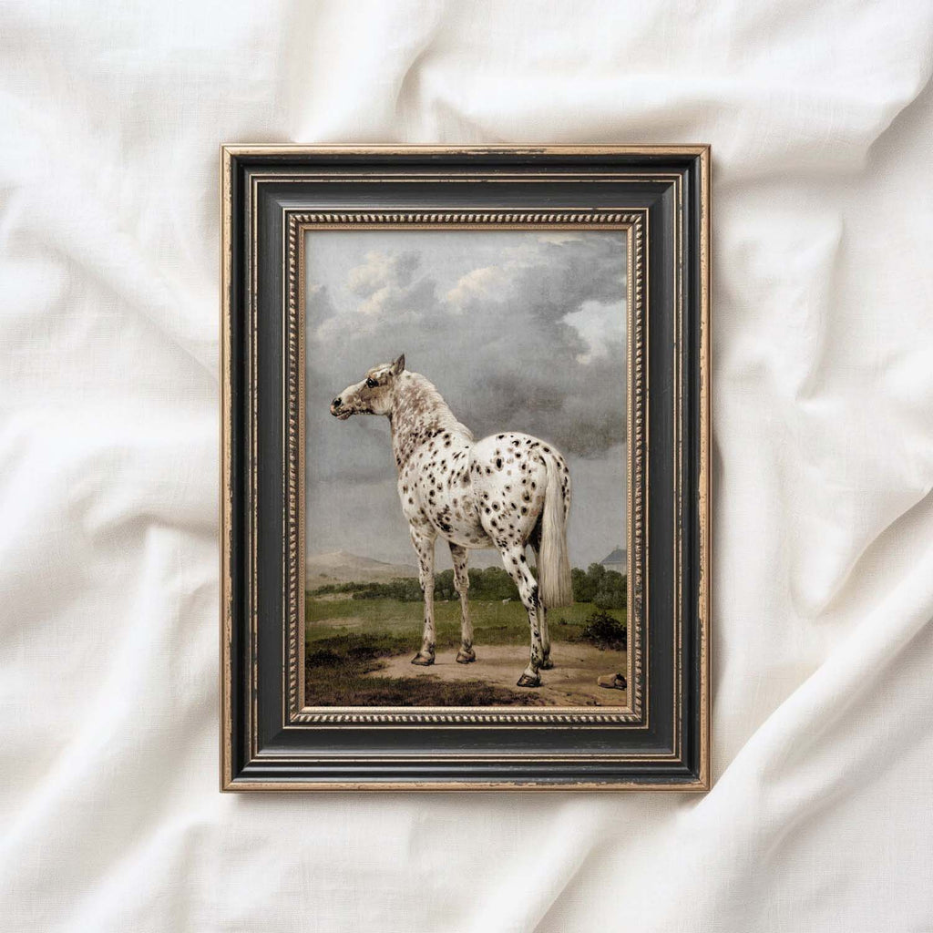 Wild horse printable wall art featuring a black and white spotted horse portrait