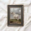 Wild horse printable wall art featuring a black and white spotted horse portrait