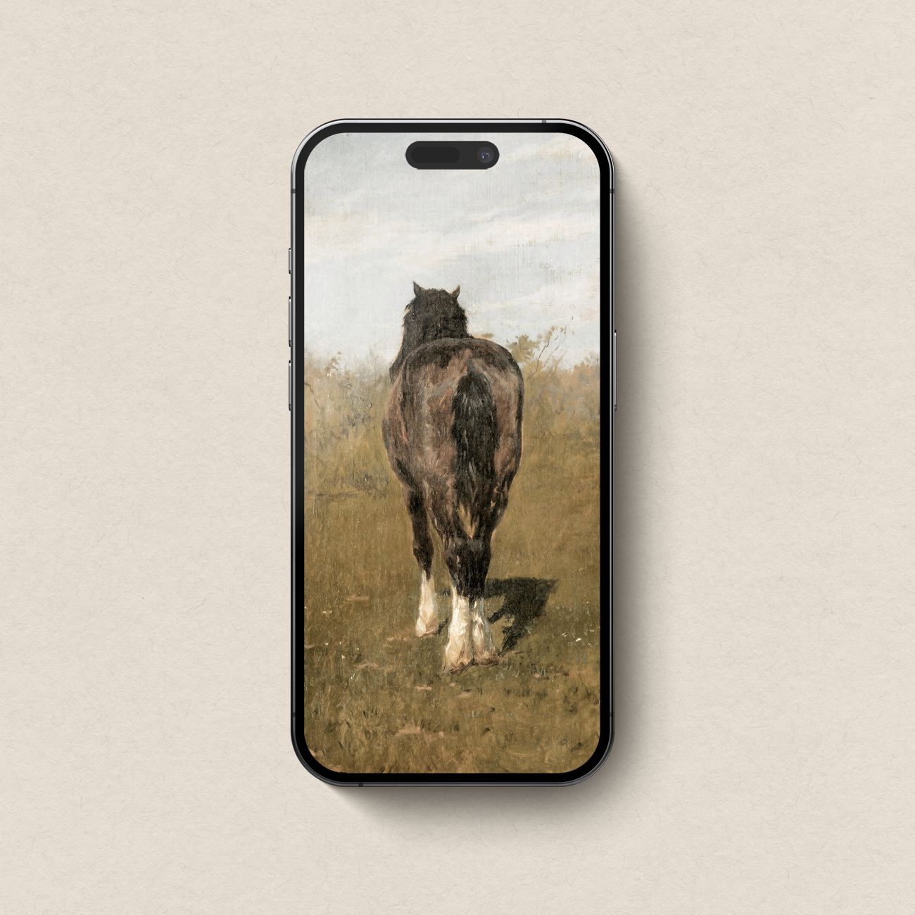 Wild Horse iPhone & iPad Wallpaper Set (Digital Download)
