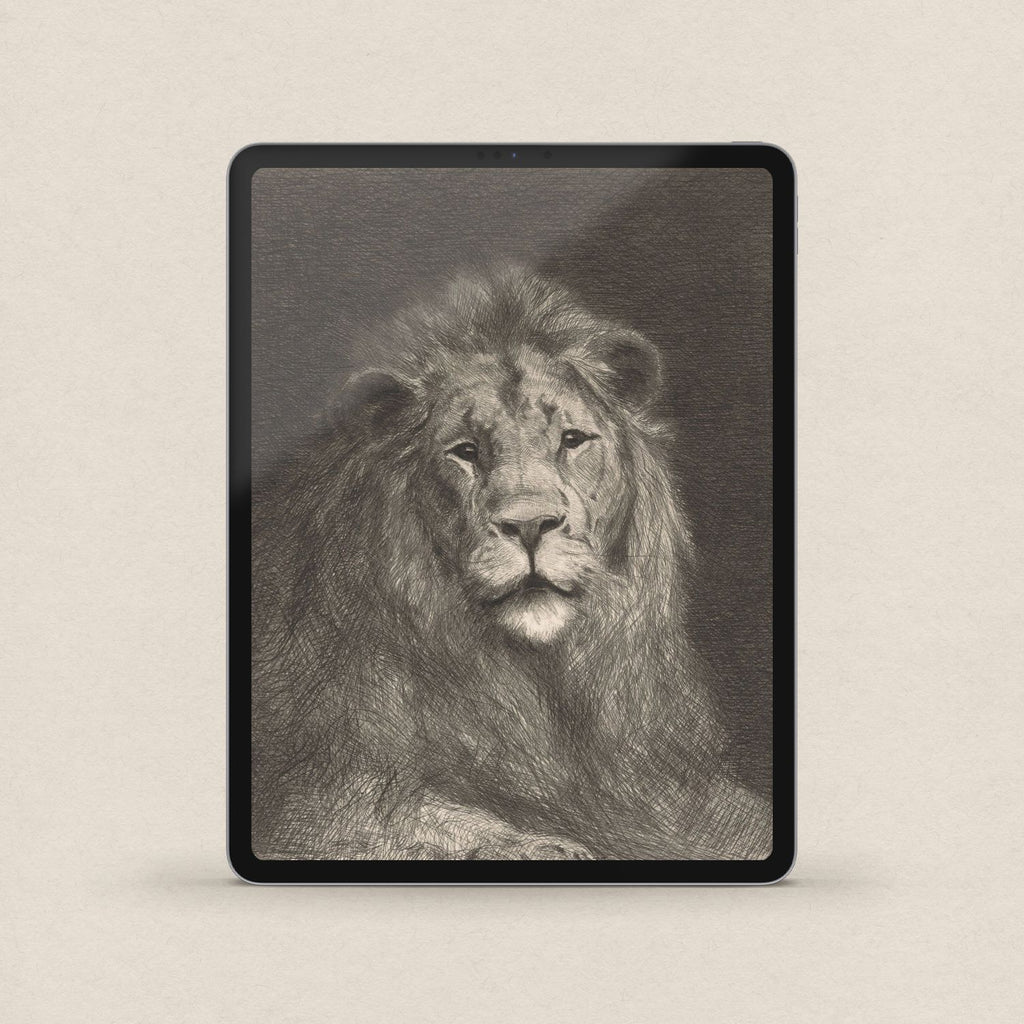 Majestic Lion Wallpaper Set | iPhone & iPad Minimal Pencil Sketch Portrait