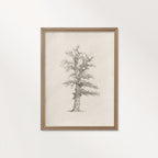 Winter Oak Tree Wall Art Printable | Antique Minimal Pencil Sketch Print