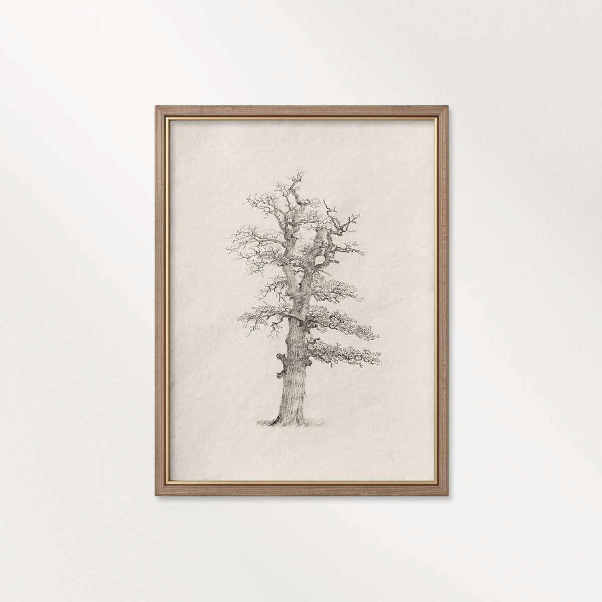 Winter Oak Tree Wall Art Printable | Antique Minimal Pencil Sketch Print